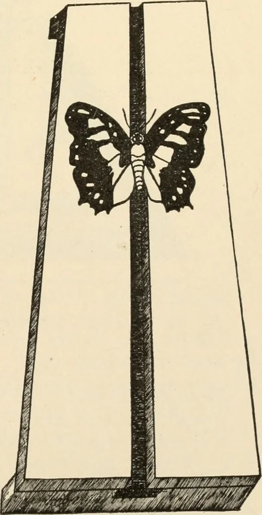 An illustration from Constructive work;, 1905, leaf 250