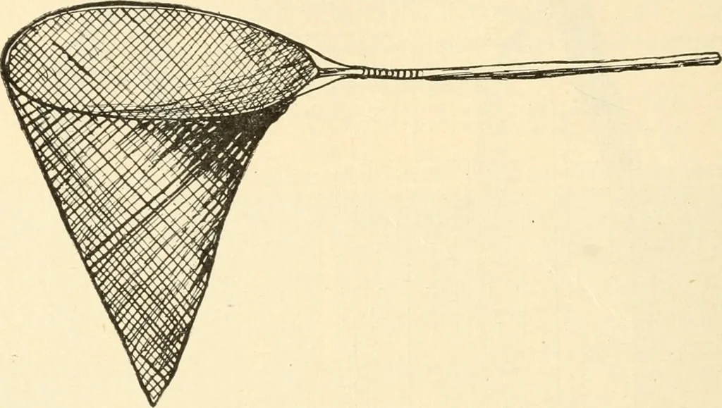 An illustration from Constructive work;, 1905, leaf 251