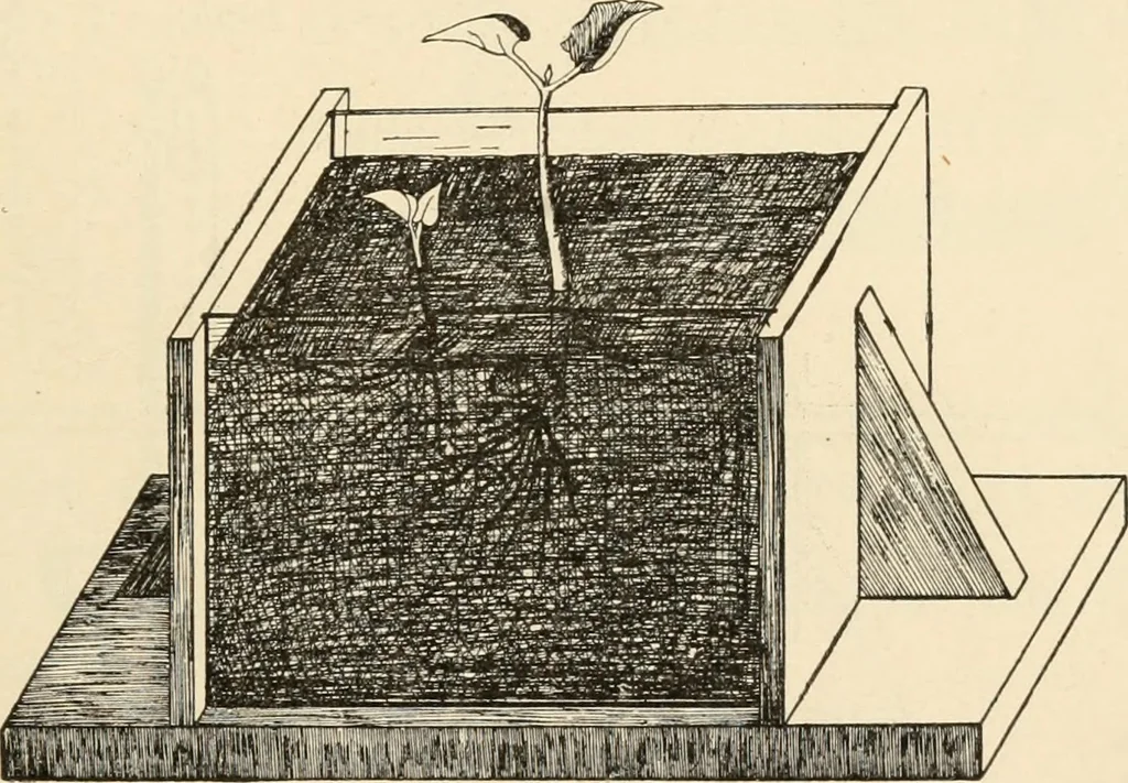 An illustration from Constructive work;, 1905, leaf 252