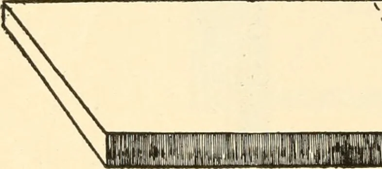 An illustration from Constructive work;, 1905, leaf 255