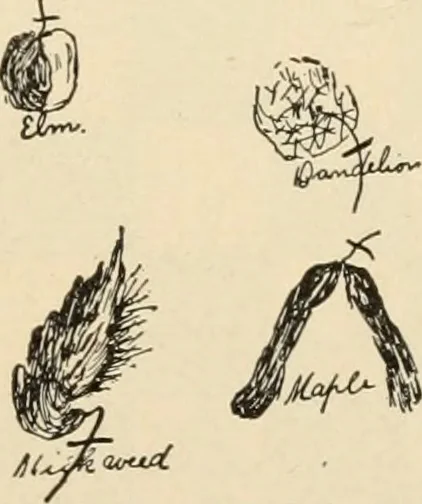 An illustration from Constructive work;, 1905, leaf 30