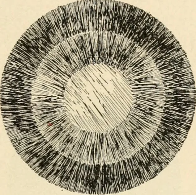 An illustration from Constructive work;, 1905, leaf 38