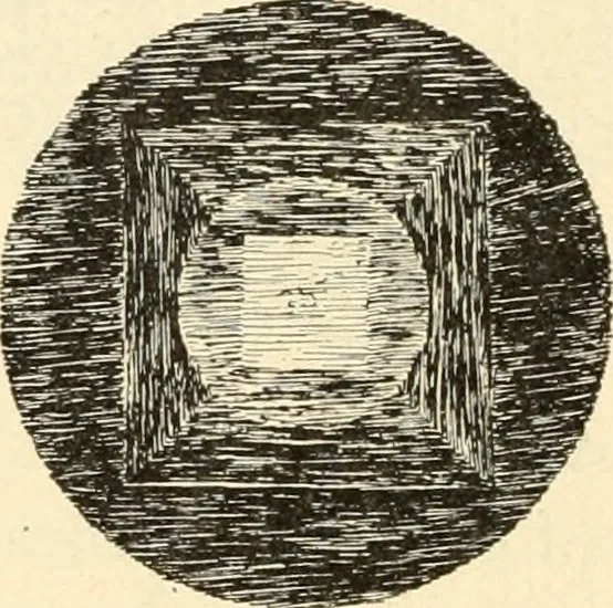 An illustration from Constructive work;, 1905, leaf 39