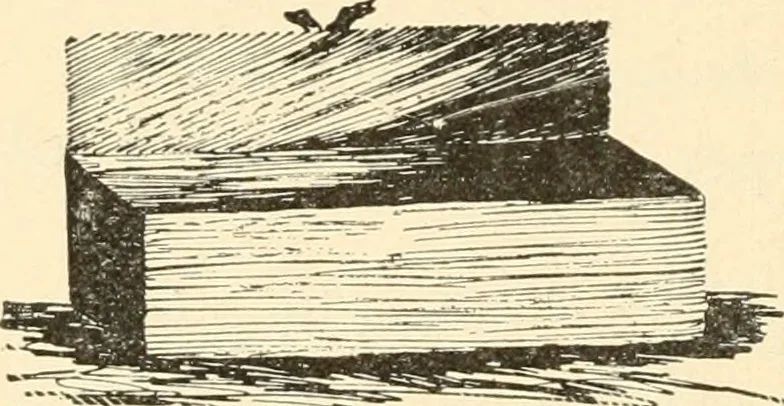 An illustration from Constructive work;, 1905, leaf 43