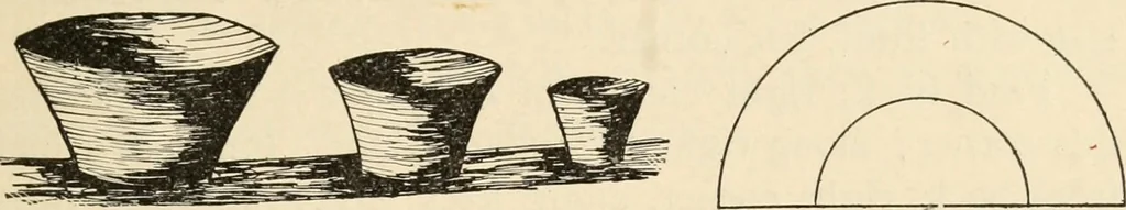 An illustration from Constructive work;, 1905, leaf 56
