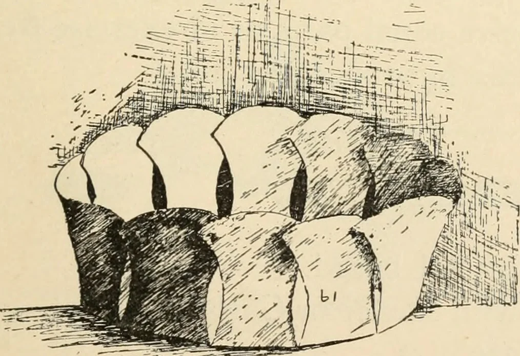 An illustration from Constructive work;, 1905, leaf 60
