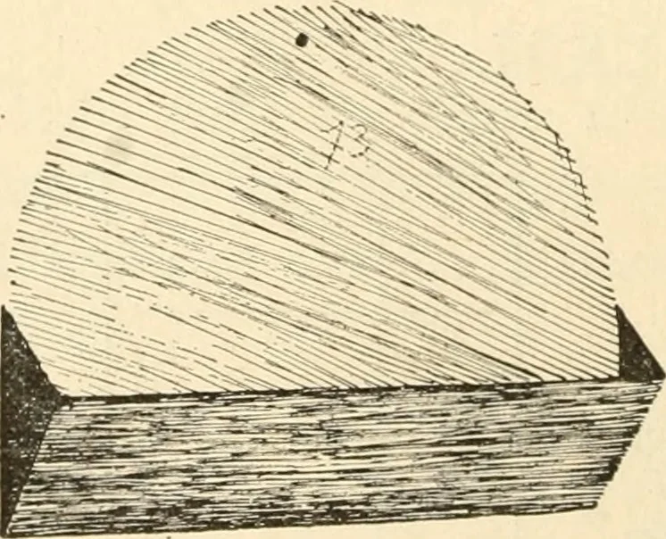 An illustration from Constructive work;, 1905, leaf 67