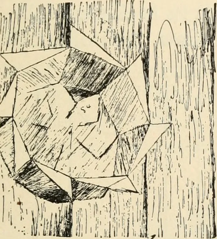 An illustration from Constructive work;, 1905, leaf 76