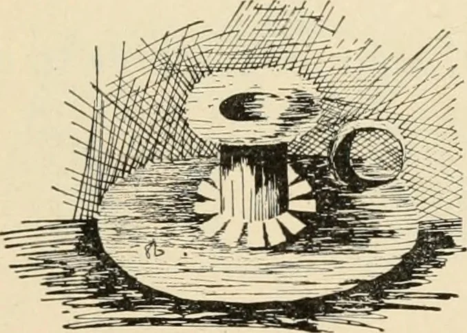An illustration from Constructive work;, 1905, leaf 78