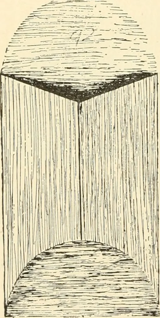 An illustration from Constructive work;, 1905, leaf 83