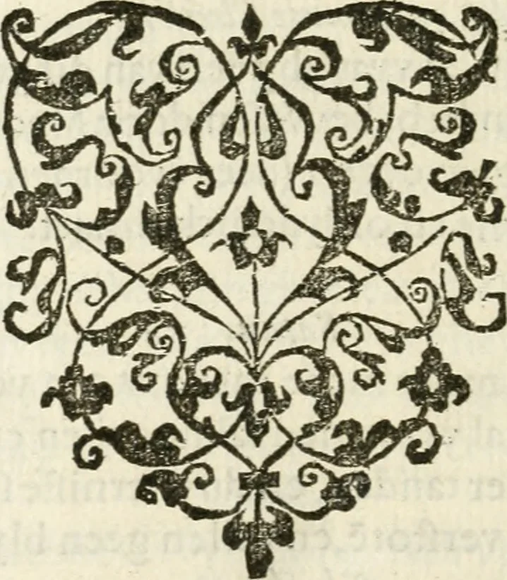 An illustration from Const-thoonende juweel, by de loflijcke stadt Haerlem, ten versoecke van Trou moet blijcken, in't licht gebracht : waer inne duydelick verclaert ende verthoont wordt alles wat den mensche mach wecken om den armen te troosten, ende zijnen naesten by te staen : in tvvaelf spelen van sinne, soo veel intreden, refereynen ende liedekens ghestelt in redenrijck naer de volgende voorgegevene caerte van 'tSpeel-korenken, 1607, leaf 109