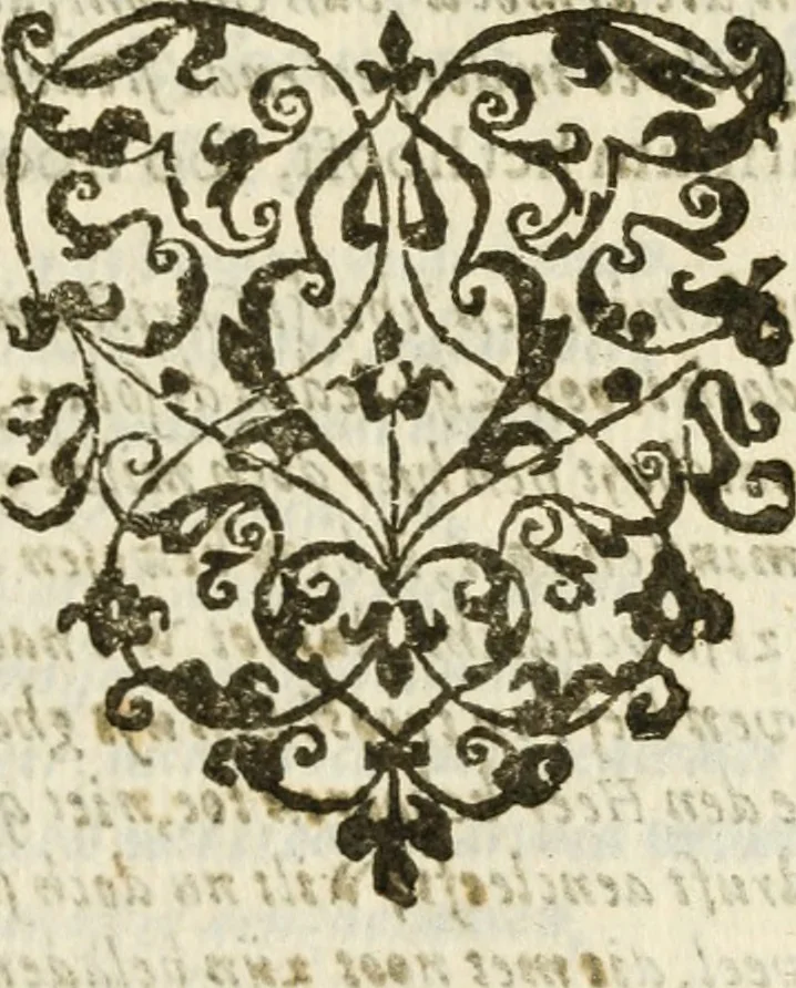 An illustration from Const-thoonende juweel, by de loflijcke stadt Haerlem, ten versoecke van Trou moet blijcken, in't licht gebracht : waer inne duydelick verclaert ende verthoont wordt alles wat den mensche mach wecken om den armen te troosten, ende zijnen naesten by te staen : in tvvaelf spelen van sinne, soo veel intreden, refereynen ende liedekens ghestelt in redenrijck naer de volgende voorgegevene caerte van 'tSpeel-korenken, 1607, leaf 542