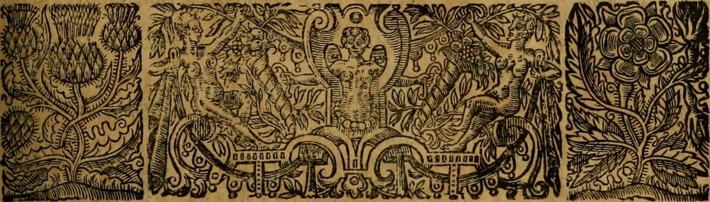 An illustration from Consuetudo, vel, lex mercatoria: or, The ancient law-merchant : in three parts, according to the essentials of traffick ..., 1686, leaf 404