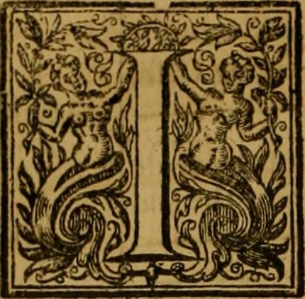 An illustration from Consuetudo, vel, lex mercatoria: or, The ancient law-merchant : in three parts, according to the essentials of traffick ..., 1686, leaf 709