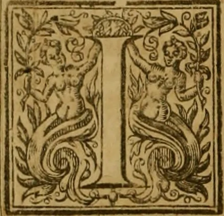 An illustration from Consuetudo, vel, lex mercatoria: or, The ancient law-merchant : in three parts, according to the essentials of traffick ..., 1686, leaf 731