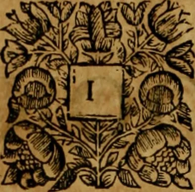 An illustration from Consuetudo, vel, lex mercatoria: or, The ancient law-merchant : in three parts, according to the essentials of traffick ..., 1686, leaf 761