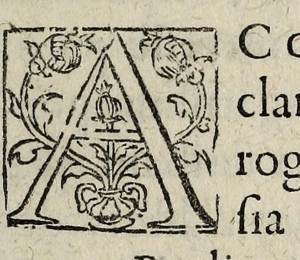 An illustration from Consvltatio Parisii cvivsdam de controversia inter sanctitatem Pauli quinti & serenissimam Rempublicã Venetam. Ad virvm clarissimum Venetum., 1607, leaf 11
