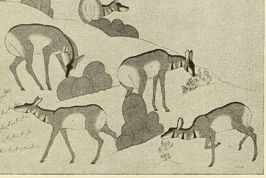 An illustration from Contemporary American Indian paintings from the Margretta S. Dietrich collection, 1900, leaf 14