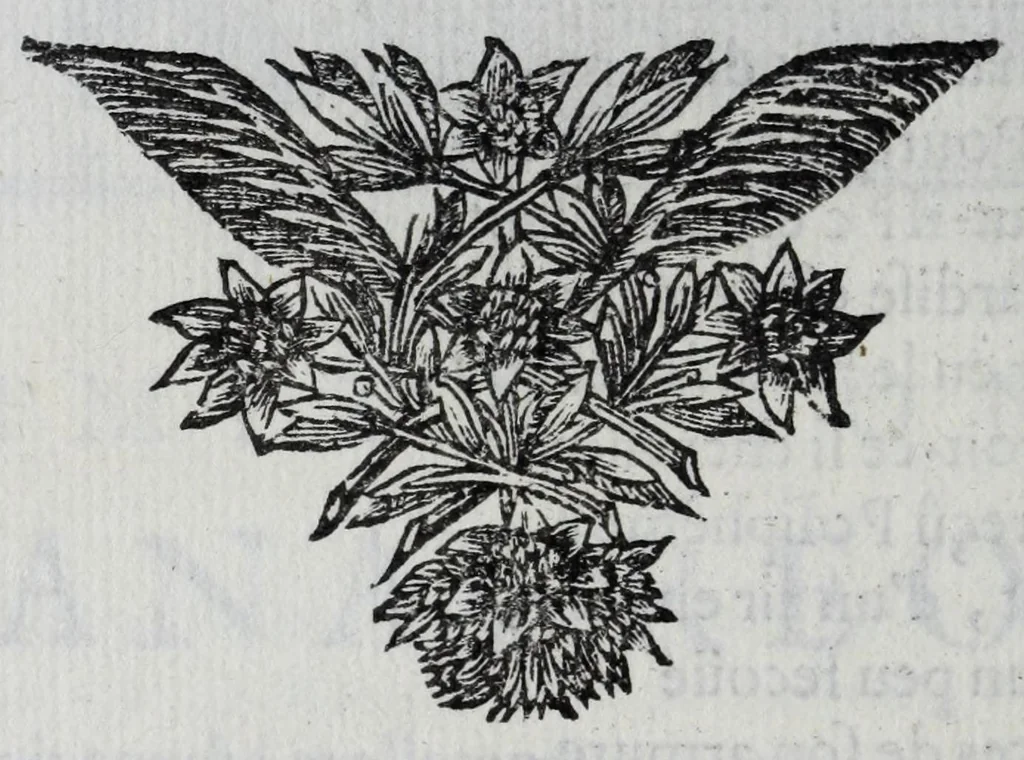 An illustration from Contes et nouvelles en vers, 1685, leaf 238