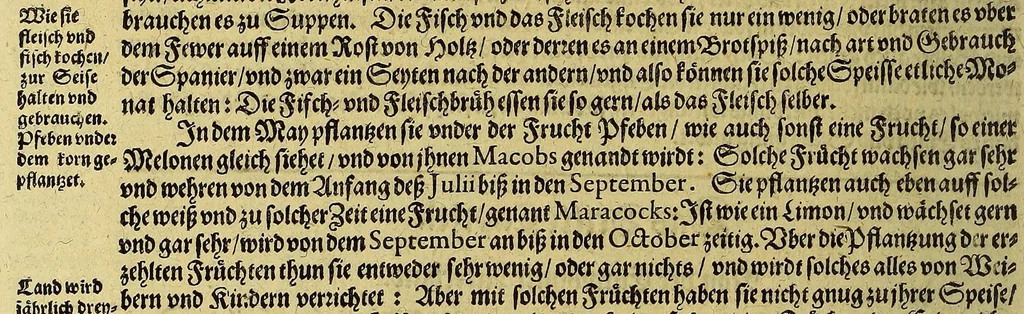 An illustration from Continuatio Americae, das ist: Forsetzung der Historien von der Newen Welt, oder Nidergängischen Indien, waran es auff diese Zeit noch anhero ermangelt. : Darinnen erstlich ein sattsame vnd gründtliche Beschreibung dess Newen Engellandts, welches die Englische das new erfundene Landt nennen, so bisscher noch nicht an Tag kommen. Zum andern, ein aussführlichere Erzehlung von Beschaffenheit der Landtschafften Virginia, Brasilia, Guiana, vnd Insul Bermuda, deren man bisshero schlechte vnd vnvollkommene Wissenschafft gehabt. Drittens, gantz newer aber doch warhafftiger Bericht, von dem bissher noch vnerkanten grossen Theil dess Erdekreises, Terra Australis oder Incognita, daruon noch in keiner Reise Schiffarth meldung beschehen. Sampt allem dem jenigen, was in einer vnd andern beschriebenen Landtschafft, nichts auss gescheiden, denckwürdigs zu sehen, vnd mit Luft vnd Verwunderung anzuhören. Am Ende ist vmb Gleichheit der Materien willen, hierbey gefügt ein weitläufftiger Discurs, wie die Statt S. Saluator vnnd Baia in gewunnen worden. Alles mit beygefügten Kupfferstücken vnd zu gehörigen gantz newen luftigen Landtschafften, erläutert vnd geziert, auch biss auff das 1627. Jahr continuirt, 1627, leaf 40