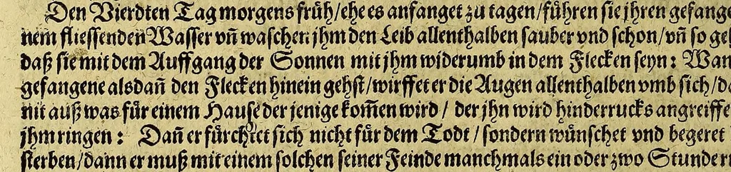 An illustration from Continuatio Americae, das ist: Forsetzung der Historien von der Newen Welt, oder Nidergängischen Indien, waran es auff diese Zeit noch anhero ermangelt. : Darinnen erstlich ein sattsame vnd gründtliche Beschreibung dess Newen Engellandts, welches die Englische das new erfundene Landt nennen, so bisscher noch nicht an Tag kommen. Zum andern, ein aussführlichere Erzehlung von Beschaffenheit der Landtschafften Virginia, Brasilia, Guiana, vnd Insul Bermuda, deren man bisshero schlechte vnd vnvollkommene Wissenschafft gehabt. Drittens, gantz newer aber doch warhafftiger Bericht, von dem bissher noch vnerkanten grossen Theil dess Erdekreises, Terra Australis oder Incognita, daruon noch in keiner Reise Schiffarth meldung beschehen. Sampt allem dem jenigen, was in einer vnd andern beschriebenen Landtschafft, nichts auss gescheiden, denckwürdigs zu sehen, vnd mit Luft vnd Verwunderung anzuhören. Am Ende ist vmb Gleichheit der Materien willen, hierbey gefügt ein weitläufftiger Discurs, wie die Statt S. Saluator vnnd Baia in gewunnen worden. Alles mit beygefügten Kupfferstücken vnd zu gehörigen gantz newen luftigen Landtschafften, erläutert vnd geziert, auch biss auff das 1627. Jahr continuirt, 1627, leaf 74