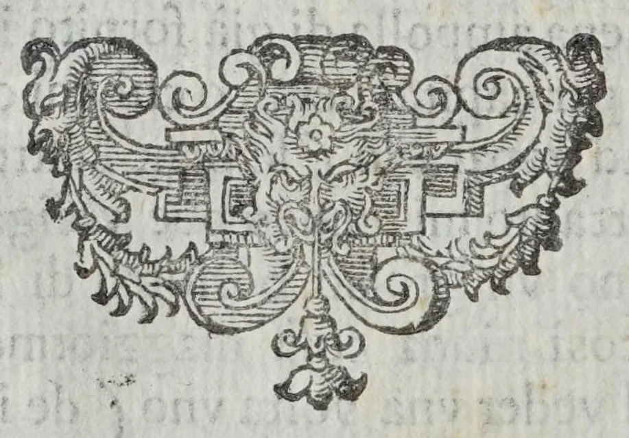 An illustration from Contra l'alchimia, e gli alchimisti palinodia Dell'argonautica, 1606, leaf 38