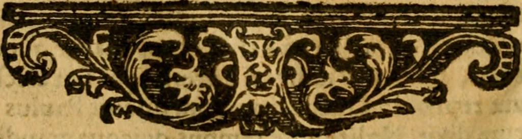 An illustration from Contra libellum Calvini in quo ostendere conatur haereticos jure gladij coercendos esse .., 1612, leaf 217