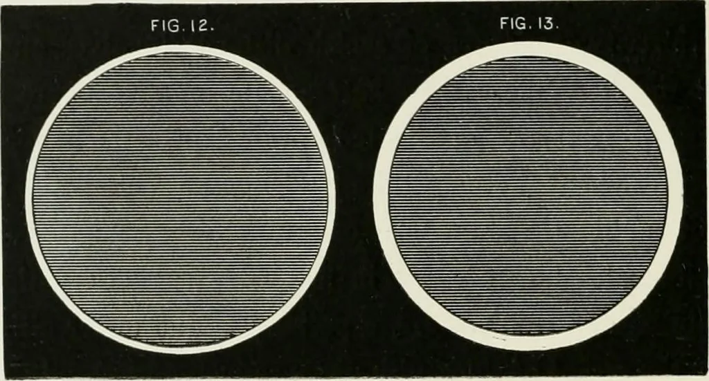 An illustration from Contributions to the Centennial Exhibition, 1876, leaf 155