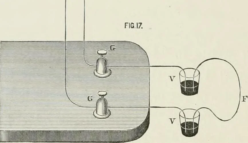 An illustration from Contributions to the Centennial Exhibition, 1876, leaf 269