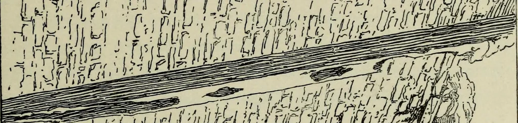 An illustration from Contributions to the history of the south-western portion of the United States, 1890, leaf 58