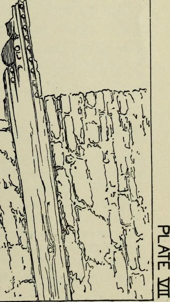 An illustration from Contributions to the history of the south-western portion of the United States, 1890, leaf 58