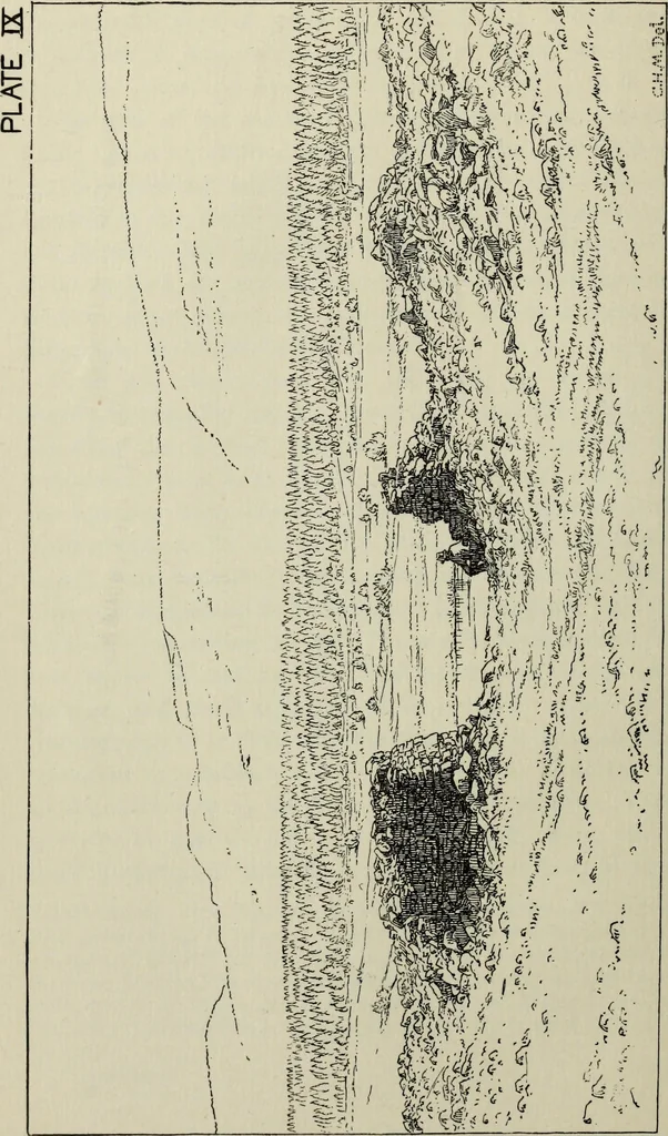 An illustration from Contributions to the history of the south-western portion of the United States, 1890, leaf 67