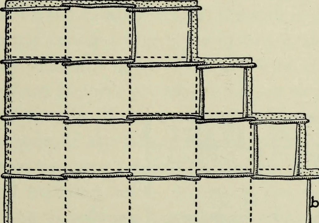 An illustration from Contributions to the history of the south-western portion of the United States, 1890, leaf 82