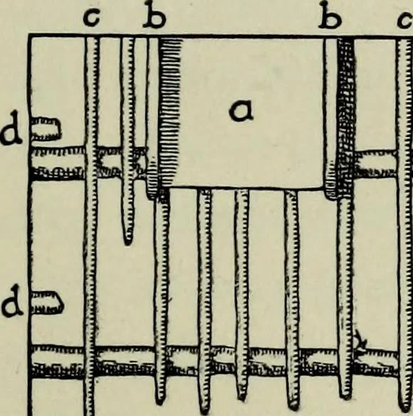 An illustration from Contributions to the history of the south-western portion of the United States, 1890, leaf 82