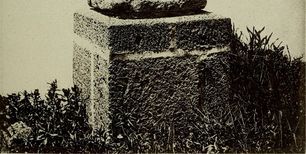 An illustration from Contributions to the history of the south-western portion of the United States, 1890, leaf 102