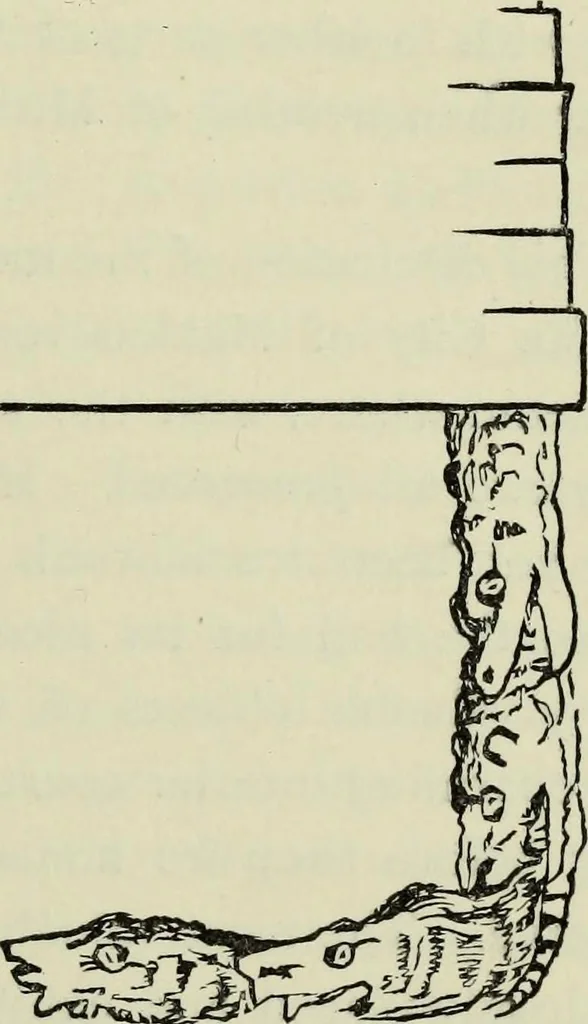 An illustration from Contributions to the history of the south-western portion of the United States, 1890, leaf 106