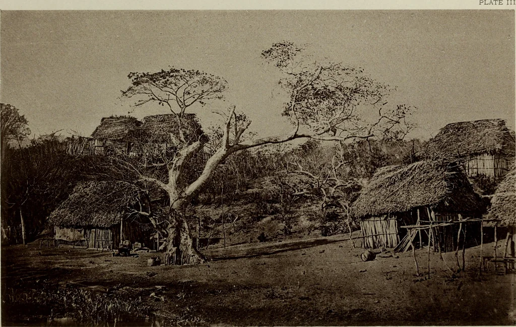 An illustration from Contributions to the history of the south-western portion of the United States, 1890, leaf 47