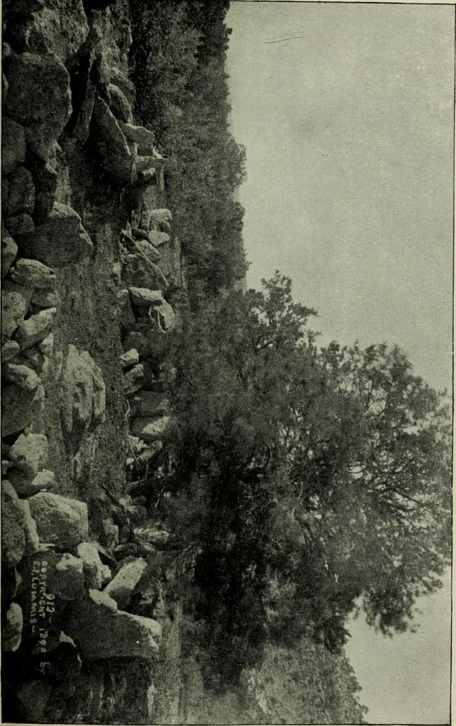 An illustration from Contributions to the history of the south-western portion of the United States, 1890, leaf 173