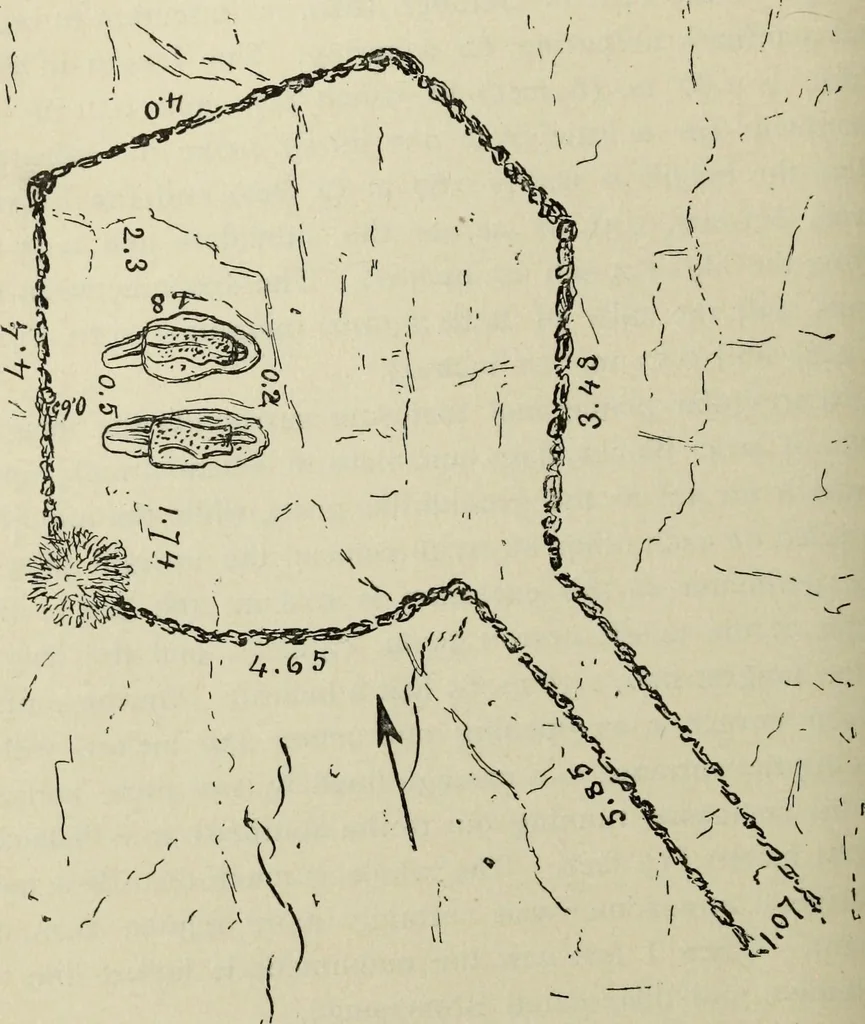 An illustration from Contributions to the history of the south-western portion of the United States, 1890, leaf 176