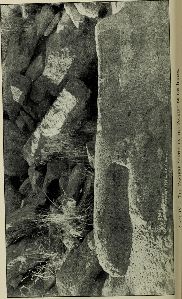 An illustration from Contributions to the history of the south-western portion of the United States, 1890, leaf 184