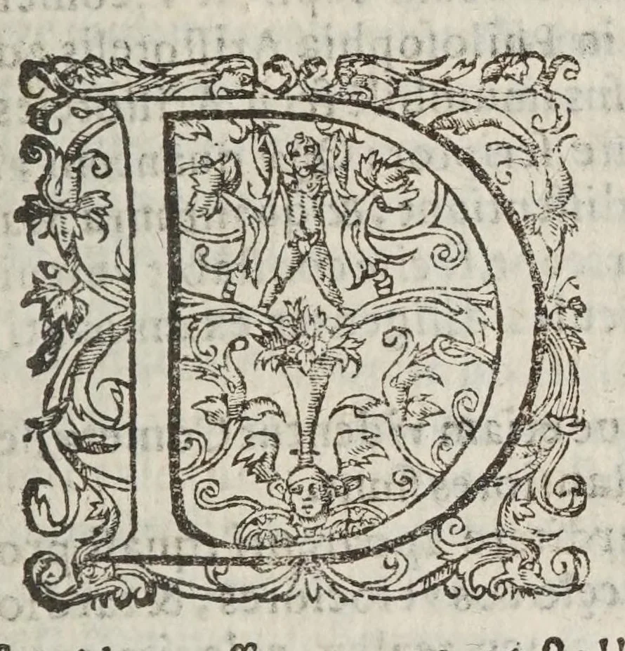 An illustration from Controversiae de cometarvm quiete, loco boreali sine occasu, parallaxi Aristotelea, sede caelesti, & exacta theoria peripatetica : in quibus prima nemesis meas ad Aristotelem interpretationes ab appositionibus cuiusdam mathematici liberat, alienasque ab eodem intrusas radicitus euellit : ex rei natvra, ex Aristotelis doctrina, & ex astronomiae fundamentis omnia demonstrans., 1625, leaf 25