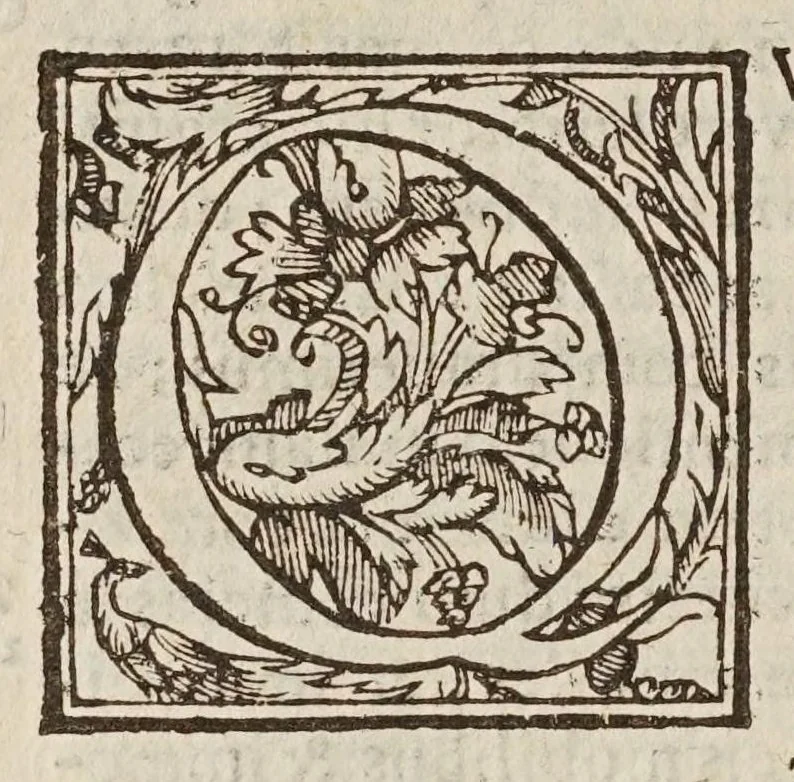 An illustration from Controversiae de cometarvm quiete, loco boreali sine occasu, parallaxi Aristotelea, sede caelesti, & exacta theoria peripatetica : in quibus prima nemesis meas ad Aristotelem interpretationes ab appositionibus cuiusdam mathematici liberat, alienasque ab eodem intrusas radicitus euellit : ex rei natvra, ex Aristotelis doctrina, & ex astronomiae fundamentis omnia demonstrans., 1625, leaf 44