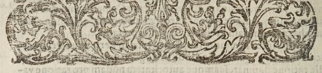 An illustration from Controversiae de cometarvm quiete, loco boreali sine occasu, parallaxi Aristotelea, sede caelesti, & exacta theoria peripatetica : in quibus prima nemesis meas ad Aristotelem interpretationes ab appositionibus cuiusdam mathematici liberat, alienasque ab eodem intrusas radicitus euellit : ex rei natvra, ex Aristotelis doctrina, & ex astronomiae fundamentis omnia demonstrans., 1625, leaf 94