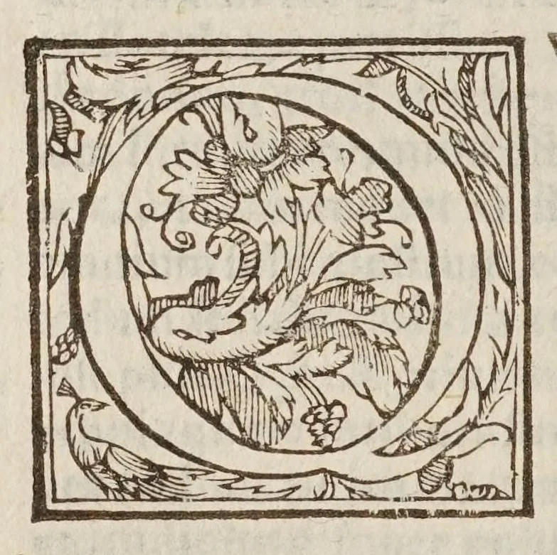 An illustration from Controversiae de cometarvm quiete, loco boreali sine occasu, parallaxi Aristotelea, sede caelesti, & exacta theoria peripatetica : in quibus prima nemesis meas ad Aristotelem interpretationes ab appositionibus cuiusdam mathematici liberat, alienasque ab eodem intrusas radicitus euellit : ex rei natvra, ex Aristotelis doctrina, & ex astronomiae fundamentis omnia demonstrans., 1625, leaf 94