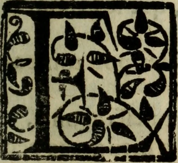 An illustration from Conuersam, e lagrimas da gloriosa Sancta Maria Magdalena, & outras obras espirituaes, 1615, leaf 202