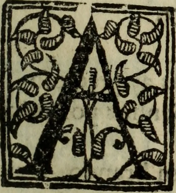 An illustration from Conuersam, e lagrimas da gloriosa Sancta Maria Magdalena, & outras obras espirituaes, 1615, leaf 204