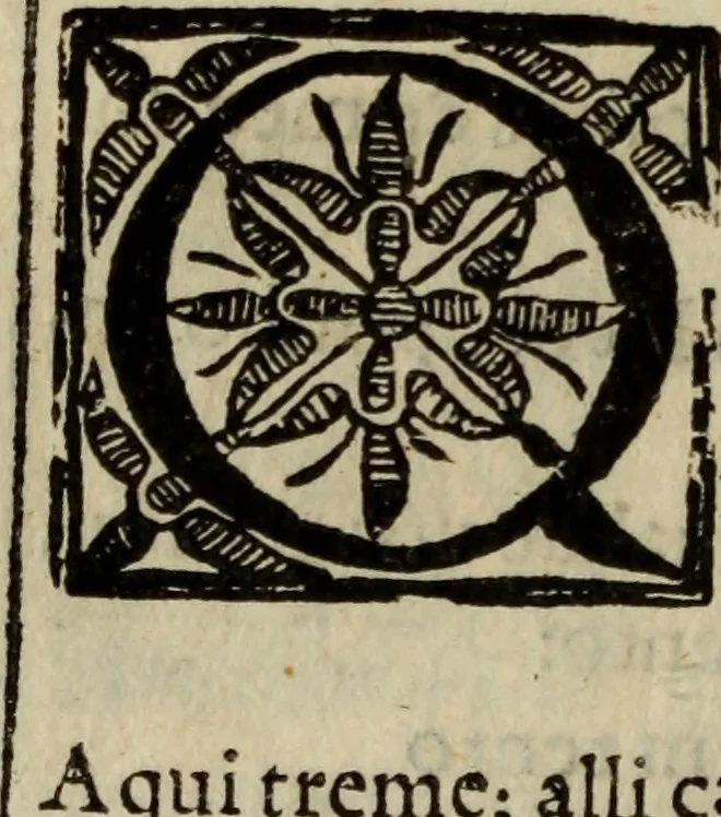 An illustration from Conuersam, e lagrimas da gloriosa Sancta Maria Magdalena, & outras obras espirituaes, 1615, leaf 207