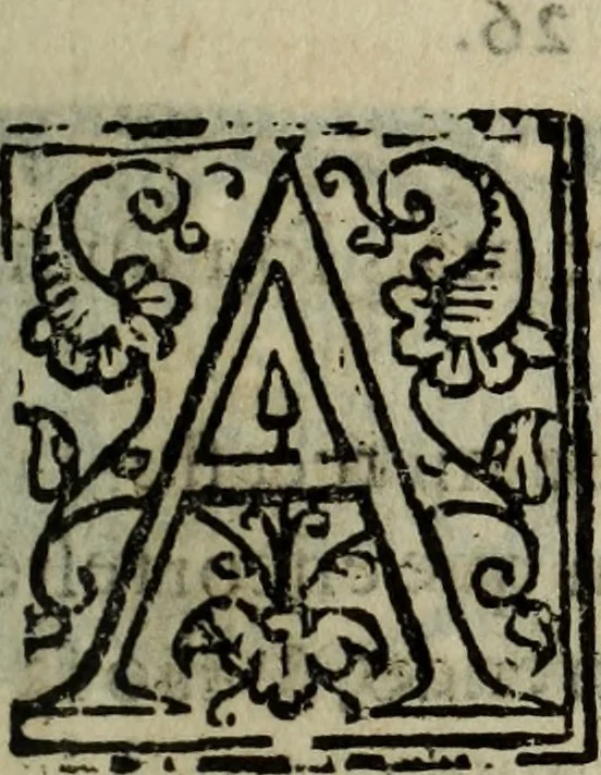 An illustration from Conuersam, e lagrimas da gloriosa Sancta Maria Magdalena, & outras obras espirituaes, 1615, leaf 228