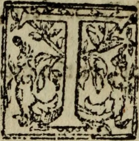 An illustration from Conuersam, e lagrimas da gloriosa Sancta Maria Magdalena, & outras obras espirituaes, 1615, leaf 231
