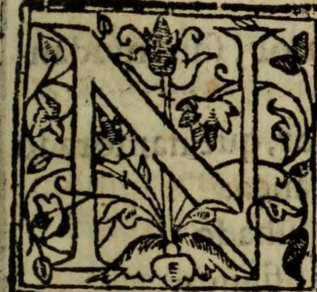 An illustration from Conuersam, e lagrimas da gloriosa Sancta Maria Magdalena, & outras obras espirituaes, 1615, leaf 248